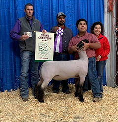 Fairley Farms Winners